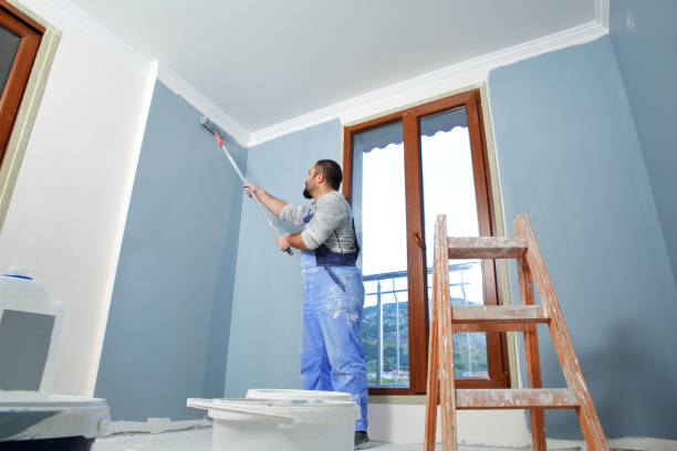 Best Drywall Sanding and Smoothing  in Alta, IA