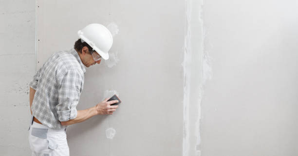 Best Water-Damaged Drywall Repair  in Alta, IA