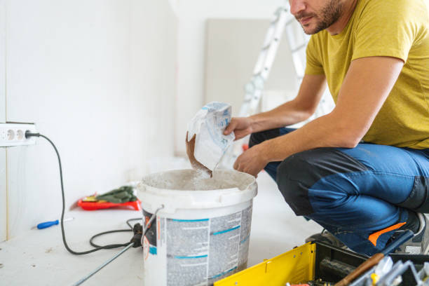 Best Ceiling Drywall Installation  in Alta, IA