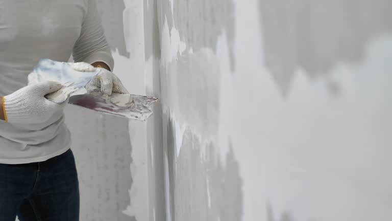  Alta, IA Dry wall and painting Pros